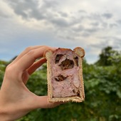 PÂTÉ CROÛTE MIÉRAL 🐓🇫🇷
Pâte en croûte lapin fermier de Saône et Loire, pruneaux et lard fumé au bois de hêtre. On accompagne comme on peut les vignerons pour la dernière ligne droite avant les vendanges 🍇🤤

Découvrez nos créations gourmandes au Coq Hardi de Viriat (Bourg-en-Bresse) et au cœur des Halles de Lyon, aux Volailles Clugnet !

#mieral #patecroutelover #hallesdelyon #lyon #vendanges