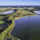 Les Volailles Miéral au cœur de la Dombes : un écrin naturellement préservé 🐓🌱
La Dombes, c’est un paysage féérique de mille étangs où l’eau et le ciel ne font plus qu’un à l’horizon. C’est aussi un paradis pour la biodiversité façonné par des traditions millénaires de gestion des zones humides 💦

Sur ces terres, nos volailles Label Rouge « Prince de Dombes® » prennent racine : élevées en plein air, dans des prairies herbeuses parsemées d’arbres et d’ombre, elles bénéficient d’une alimentation 100 % végéto-minérale, sans OGM ni antibiotiques, et d’un élevage à croissance lente 🌾

> Plus d'infos via le lien en bio ou sur mieral.com 

#dombes #mieral #canette #poulet #producteur #alimentation #food #chef #cuisine #agriculture