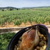 Poulet de Bresse juste rôti avec ses petites pommes de terre au cœur du vignoble bourguignon 🍇🐓🥇

Tellement simple à cuisiner et toujours aussi bon à déguster, faites vous livrer chez vous nos produits gourmands > lien en bio

ps : on accorde ce plat avec quel vin de Bourgogne ? 🍷

#pouletdebresse #bourgogne #pouletroti #foodie #mieral #cuisine #chef #vigne #gastronomie #foodlover #burgundy