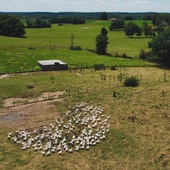 Chaque fin d’année, nos clients se régalent avec nos Oies Excellence Miéral. Nous les avons survolées pour vérifier qu’elles se portent bien🪿🥇

Les oies naissent début avril puis évolue en plein air sur les terres Bressanes chez les éleveurs de volailles de Bresse pendant 30 à 32 semaines🌱

Ces volailles de fêtes sont ensuite abattues début décembre, offrant une chair tendre, savoureuse et juteuse !

👉🏼Rendez-vous sur notre site pour découvrir notre sélection de bons produits et pour retrouver quelques idées recettes : lien en bio ou lecoqhardi-by-mieral.com

 #volailledebresse #bresse #cocotte #cuisine #chef #foodie #mieral #terroir #aop